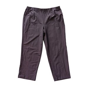 Eileen Fisher Crepe Pull On Ankle Length Pants